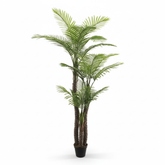 Artificial Refined Areca Palm Date Tree X3 - 7.5 ft (220 cm)